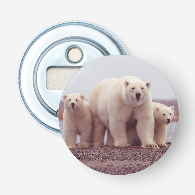 Polar Bear Family Photo Flasköppnare (Framsidan)