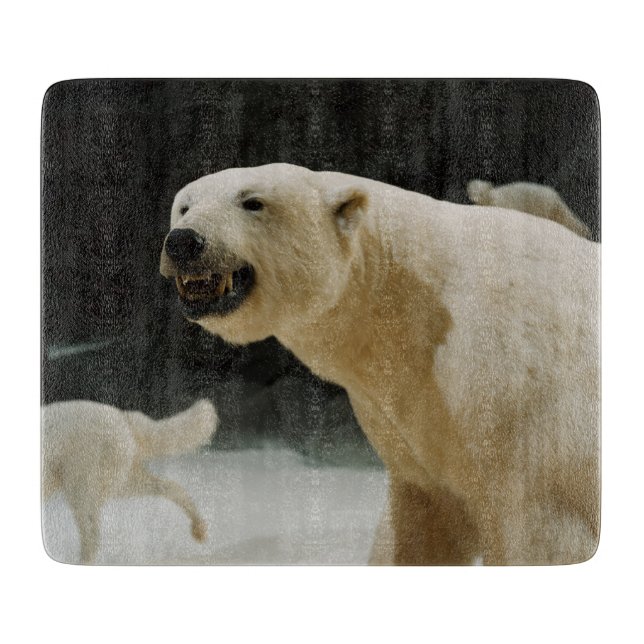 Polar Bear Flin (Framsidan)