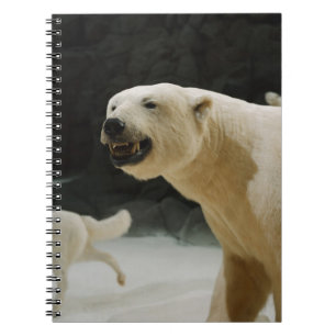 Polar Bear Flin Anteckningsbok