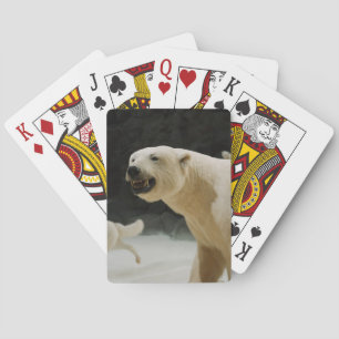 Polar Bear Flin Casinokort