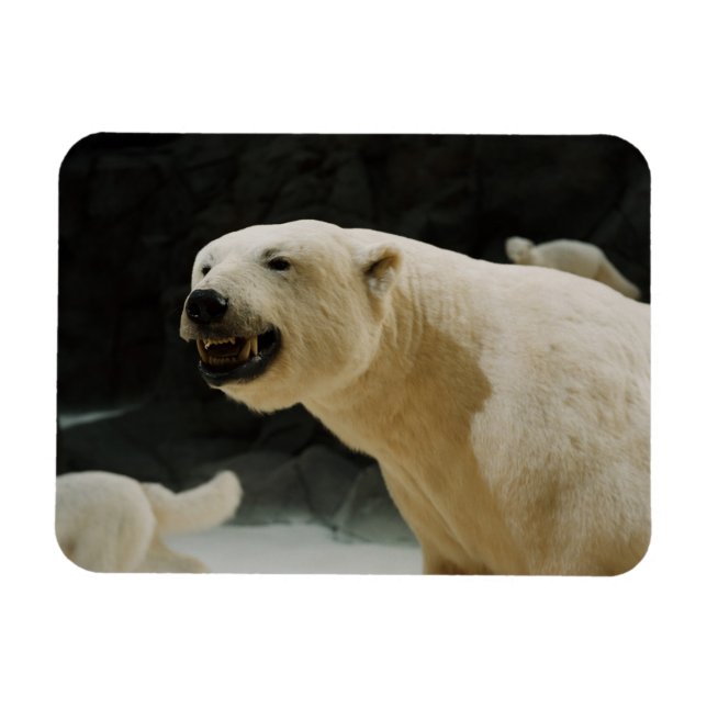 Polar Bear Flin Magnet (Horisontell)