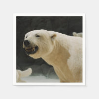 Polar Bear Flin