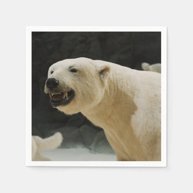 Polar Bear Flin Pappersservett (Framsidan)