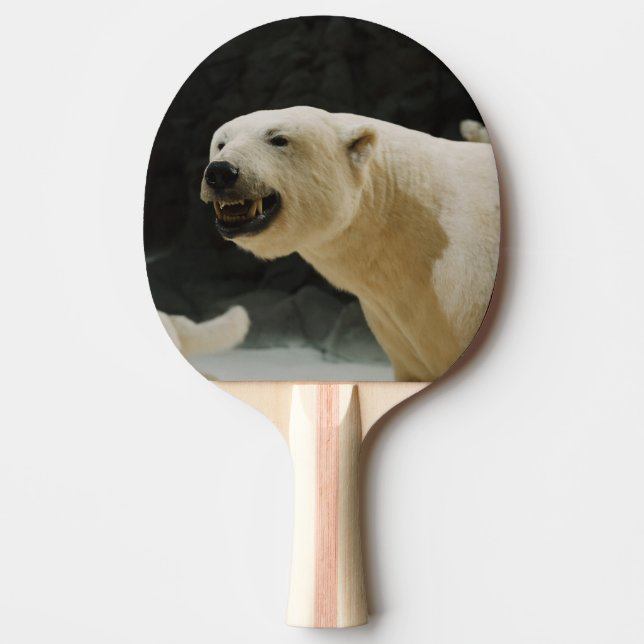 Polar Bear Flin Pingisracket (Framsidan)