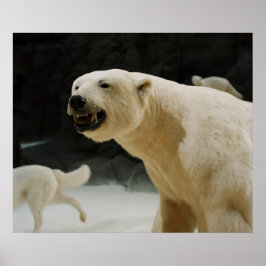 Polar Bear Flin Poster