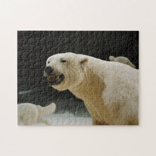 Polar Bear Flin Pussel (Horisontell)