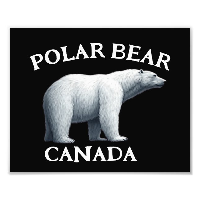 POLAR BEAR FOTOTRYCK (Framsidan)