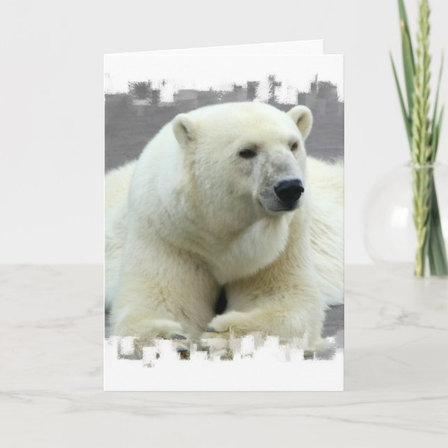Polar Bear Greeting Card Kort (Framsida)