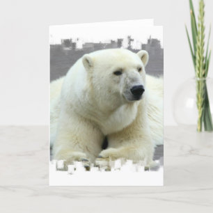 Polar Bear Greeting Card Kort