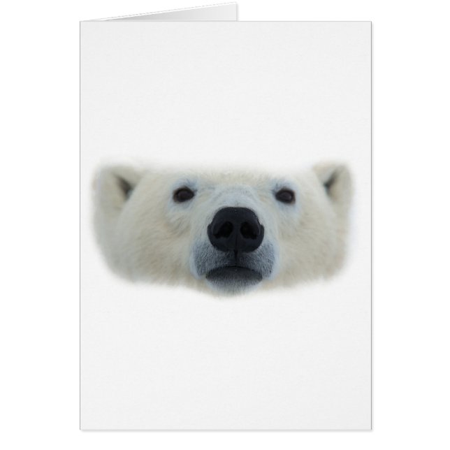 Polar Bear Hälsningskort (Framsidan)