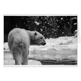 Polar Bear i snö Hälsningskort