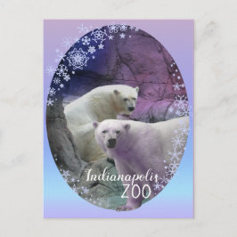 Polar Bear Indy Zoo Vykort