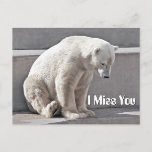 Polar Bear, jag missar dig Vykort