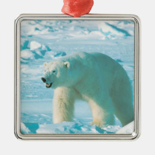 Polar Bear jul-prydnad Julgransprydnad Metall