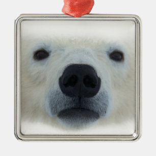 Polar Bear Julgransprydnad Metall
