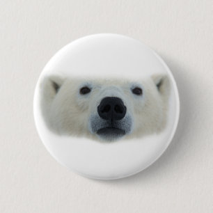Polar Bear Knapp