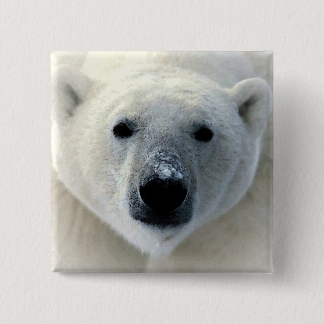 Polar Bear Knapp (Framsida)