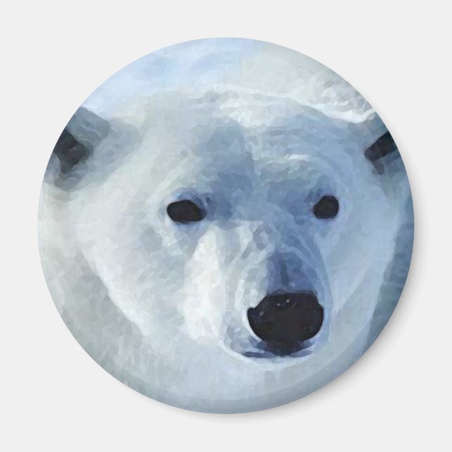 Polar Bear Magnet (Framsidan)