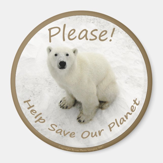 Polar Bear Magnet (Framsidan)