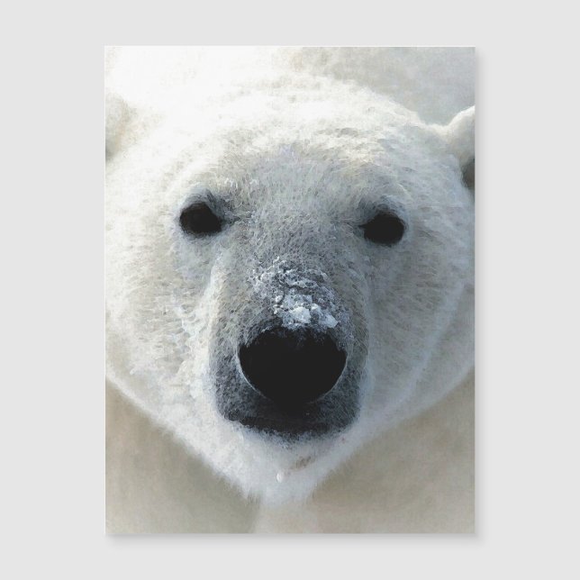 Polar Bear Magnetic Card (Framsida)