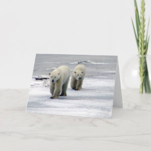 Polar Bear Mamma & Unge Card Helgkort