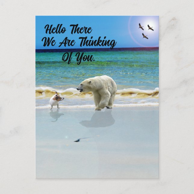 Polar Bear Meets Jack Russell, Hej Postcard Vykort (Framsida)