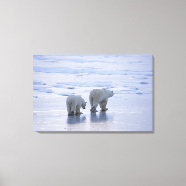 Polar Bear Mor och Unge Canvastryck (Framsida)