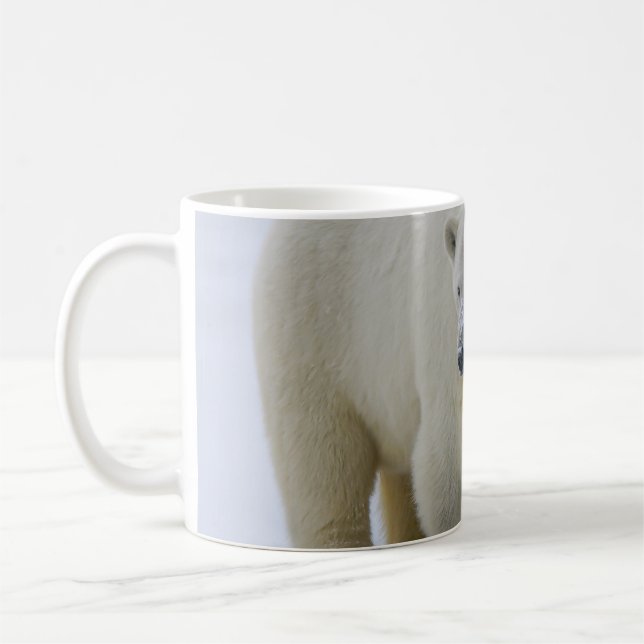 POLAR BEAR MOR OCH UNGE NORTHERN ALASKA KAFFEMUGG (Vänster)