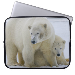 POLAR BEAR MOR OCH UNGE NORTHERN ALASKA LAPTOP FODRAL