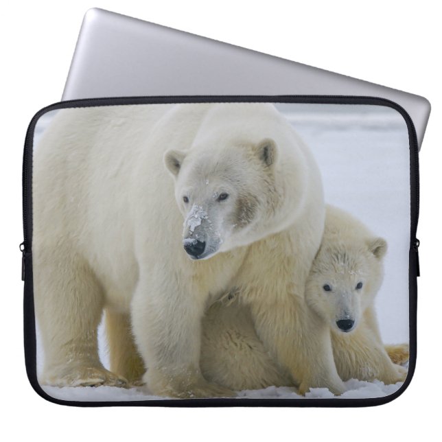 POLAR BEAR MOR OCH UNGE NORTHERN ALASKA LAPTOP FODRAL (Framsidan)