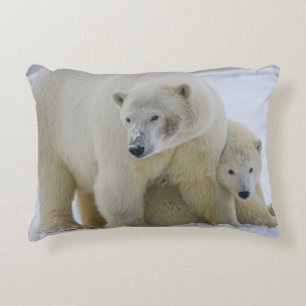 POLAR BEAR MOR OCH UNGE NORTHERN ALASKA PRYDNADSKUDDE
