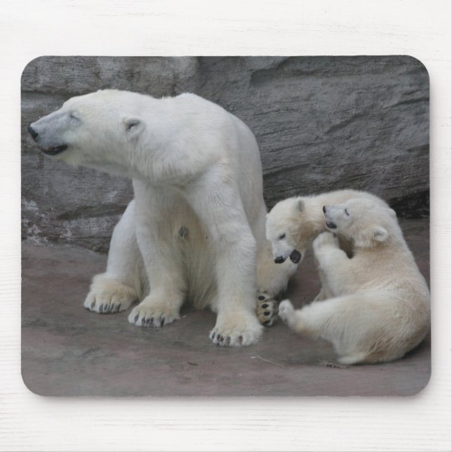 Polar Bear Morsa och Unge Musmatta (Framsidan)