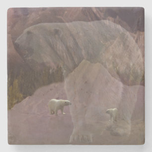 Polar Bear Mountain, stenen Underlägg