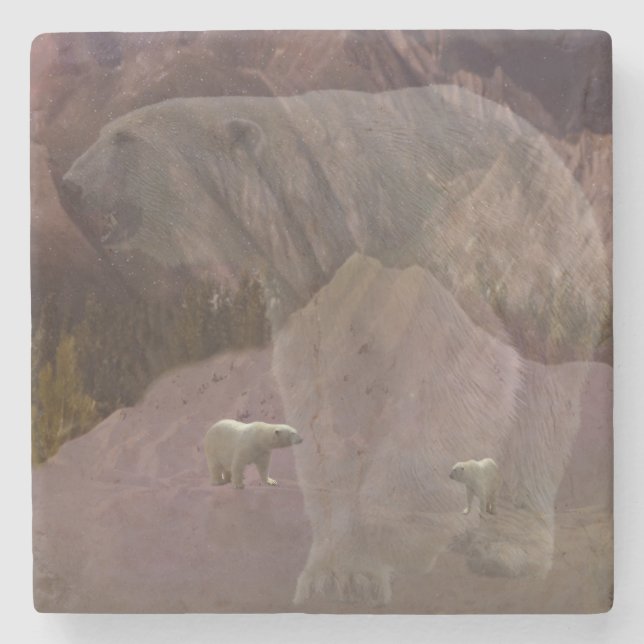 Polar Bear Mountain, stenen Underlägg (Framsidan)