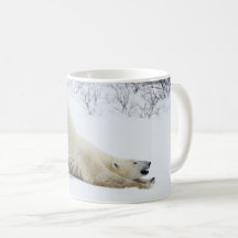 Polar Bear Mugg