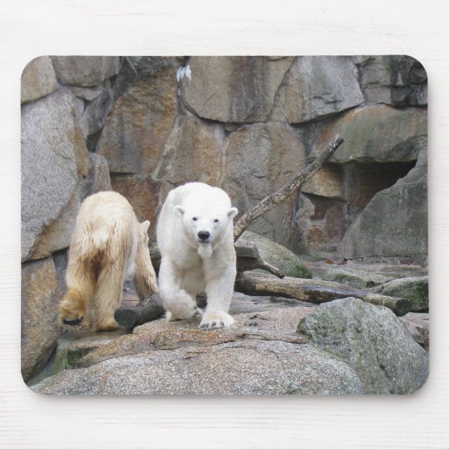 POLAR BEAR munstycke Musmatta (Framsidan)