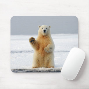 Polar Bear Musmatta