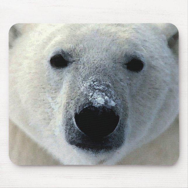Polar Bear Musmatta (Framsidan)