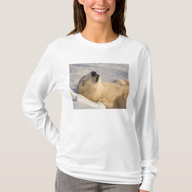 Polar Bear Nap T-shirt (Framsida)