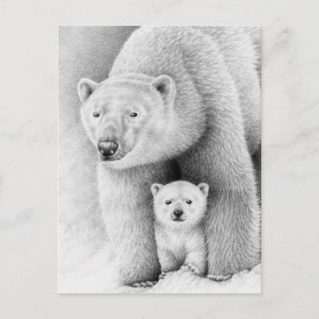 Polar Bear och Unge vykort (Framsida)