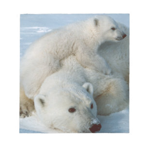 Polar Bear och Unge Wildlife Älskare Anteckningsblock