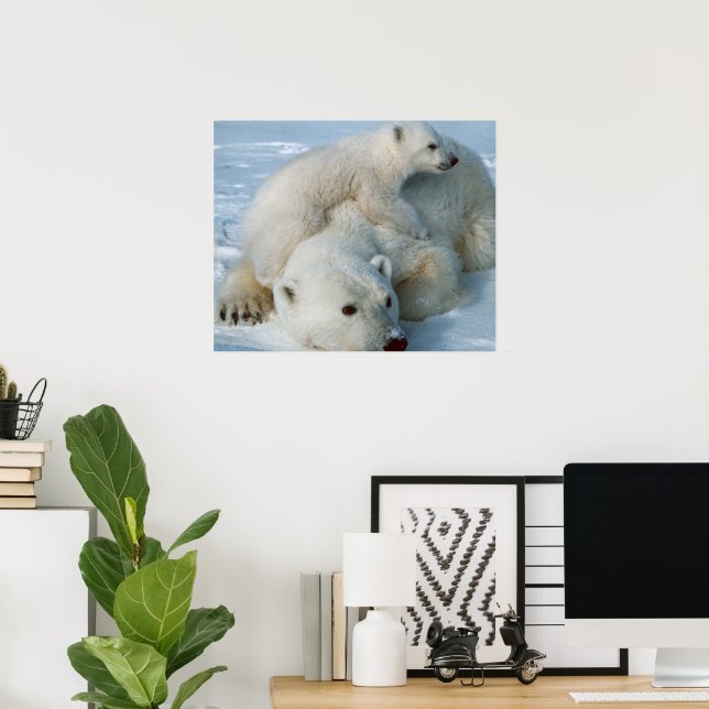 Polar Bear och Unge Wildlife Älskare Poster (Hemmakontoret)