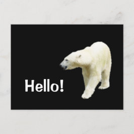 Polar Bear on Black Hej Vykort