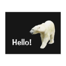 Polar Bear on Black Hej