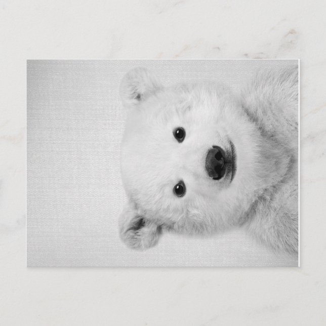 Polar-bear, Polar-bear Canvas Gift for Her  Meddelande Vykort (Framsida)
