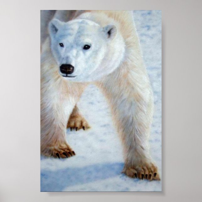 Polar Bear Poster (Framsidan)