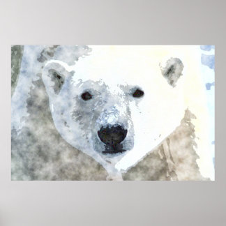 POLAR BEAR-Poster Poster