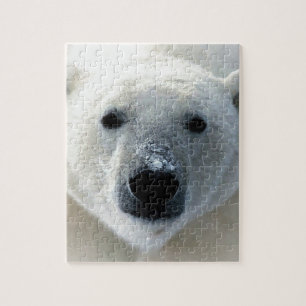 Polar Bear Pussel