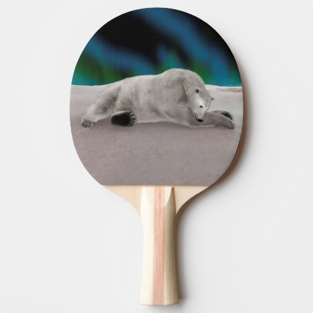 Polar Bear Resting Pingisracket (Framsidan)