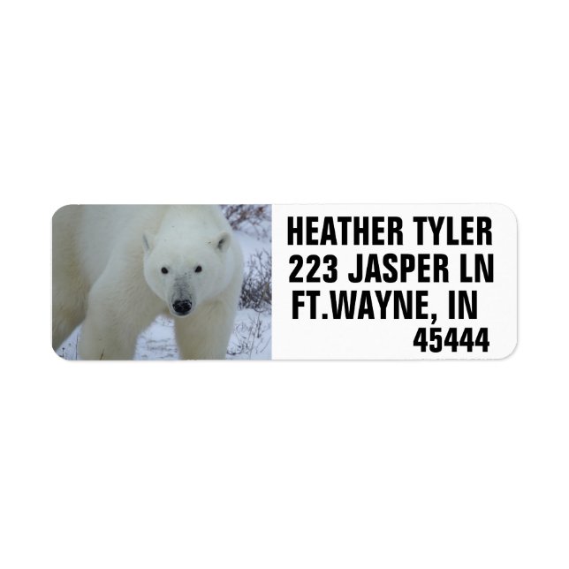 POLAR BEAR-RETURETIKETTER RETURADRESS ETIKETT (Framsidan)